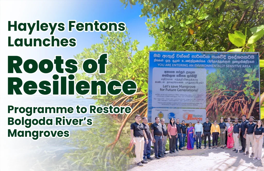 Hayleys Fentons Launches “Roots of Resilience” Programme to Restore Bolgoda River’s Mangroves