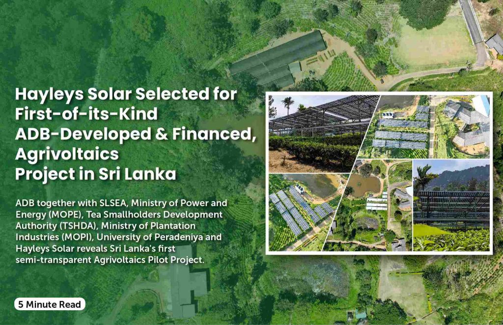 Hayleys Solar Selected for First-of-its-Kind ADB-Developed and Financed, Agrivoltaics Project in Sri Lanka